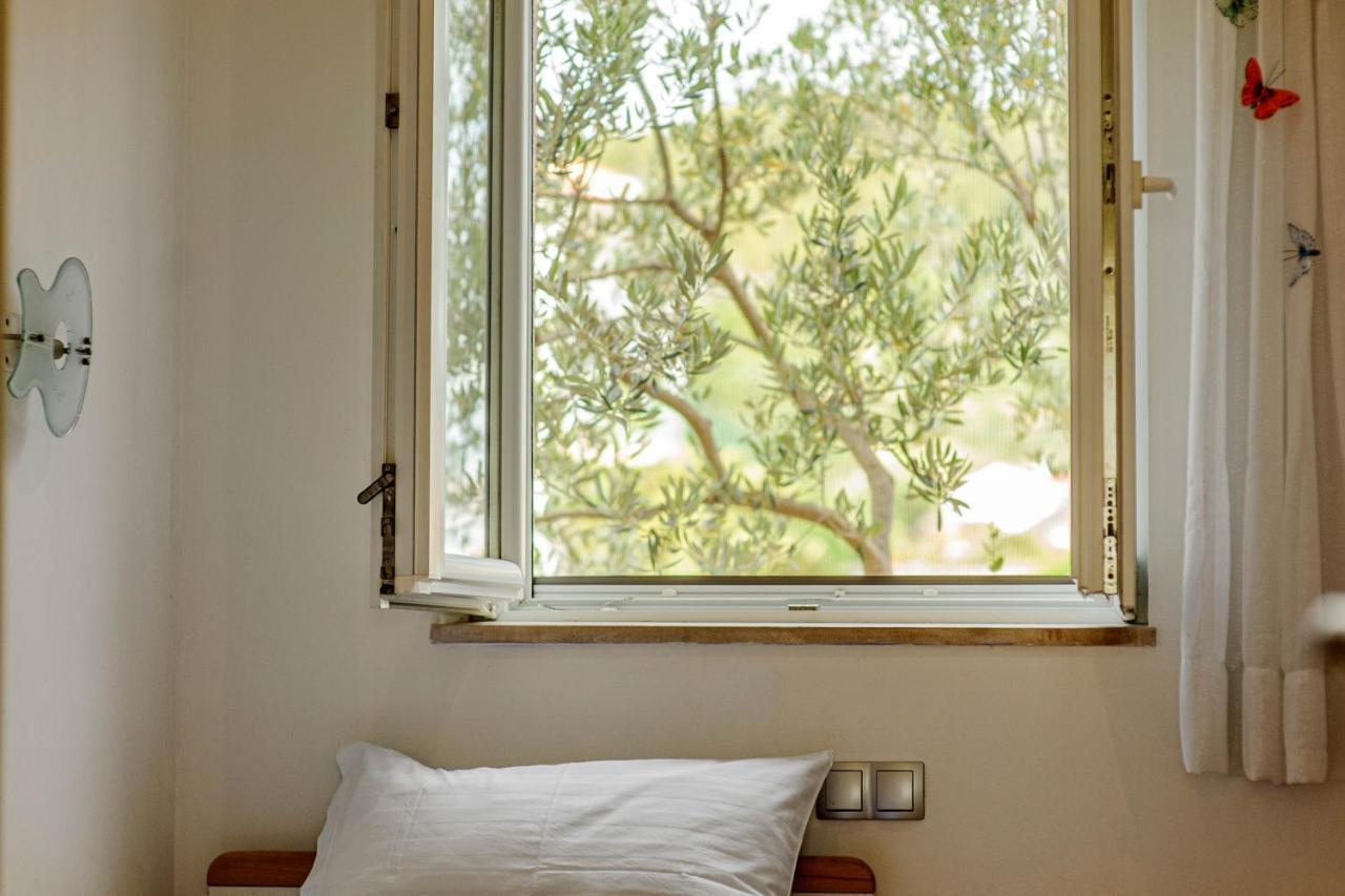 שיבניק Apartment Jelic מראה חיצוני תמונה